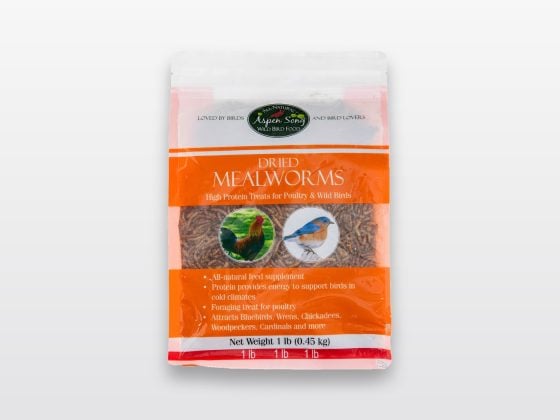 Mealworms